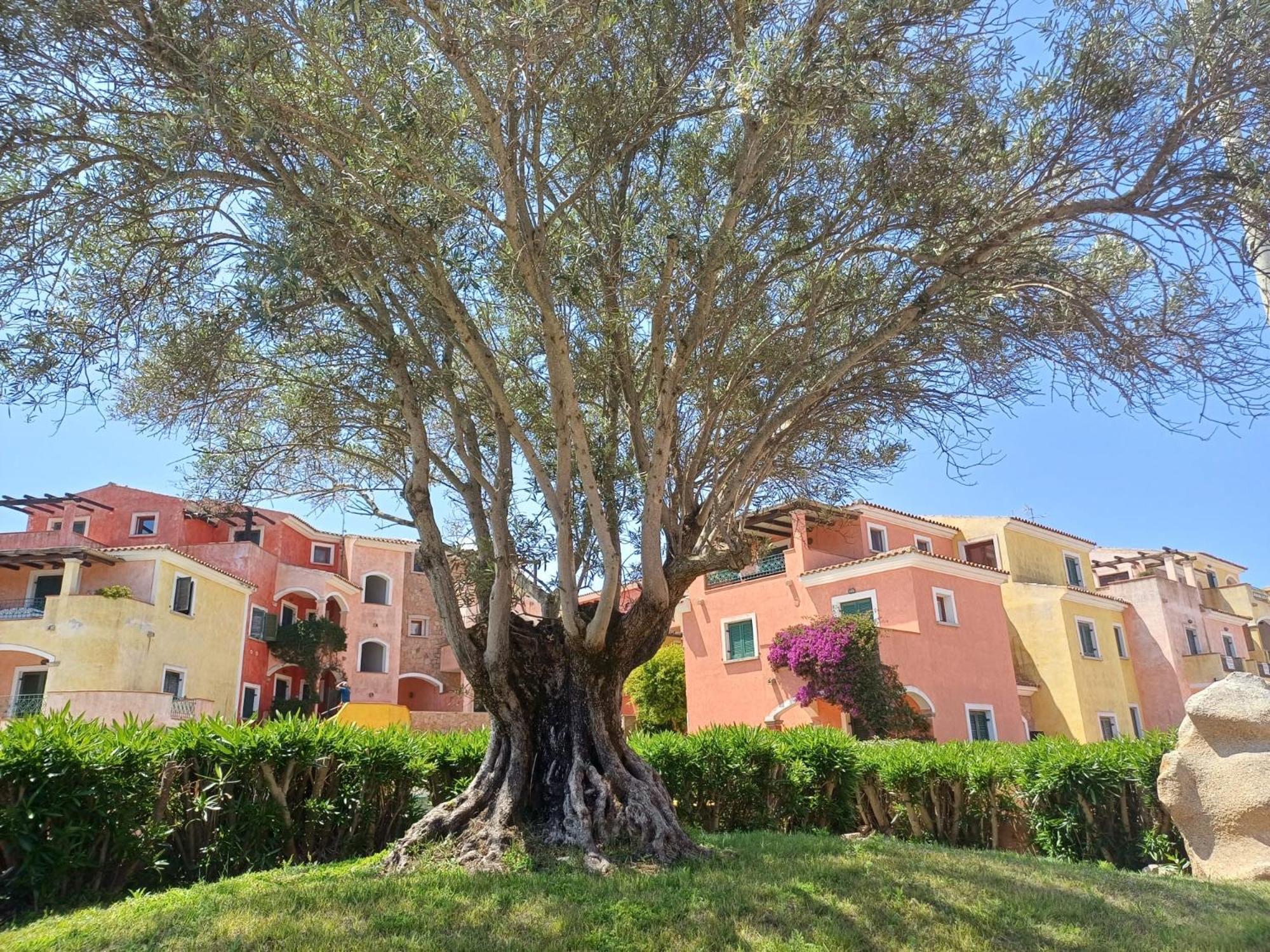 דירות סנטה טרזה גאיורה Casa Ginevra מראה חיצוני תמונה